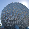 WDW2007-508