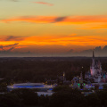 WDW201508-316