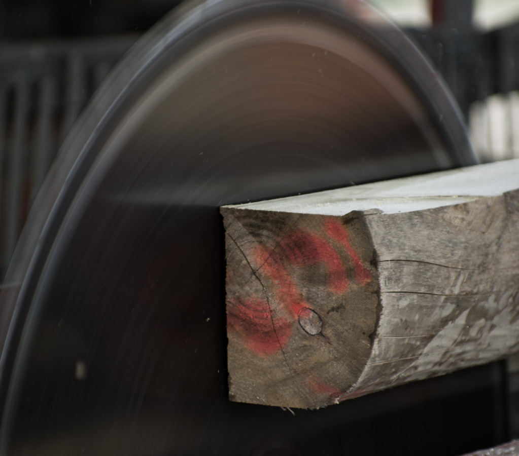 Pageant of Steam 2008-18