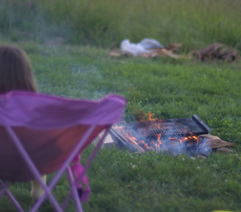 SampsonStatePark2009-03