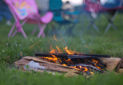 SampsonStatePark2009-04