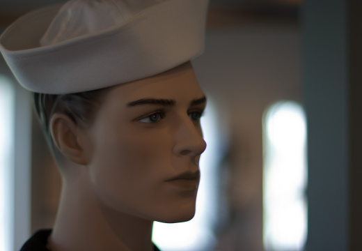 SampsonStatePark2009-07