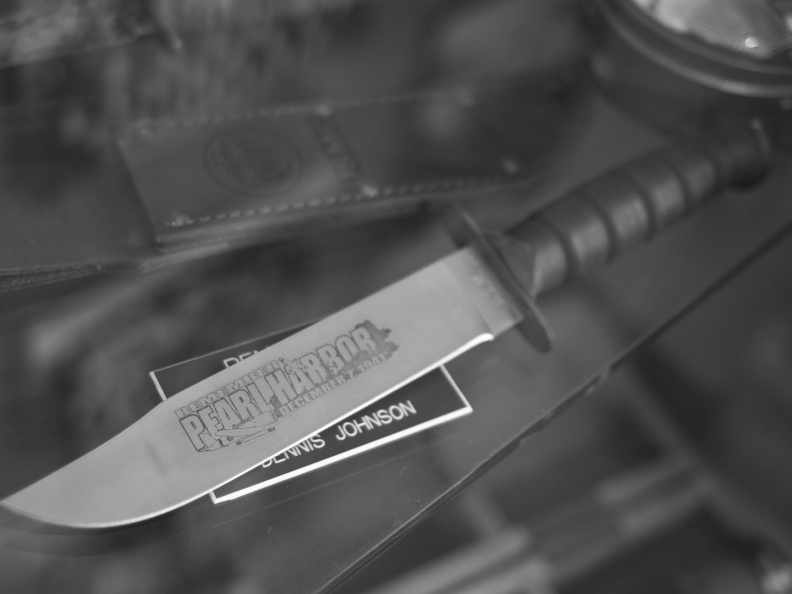 SampsonStatePark2009-16