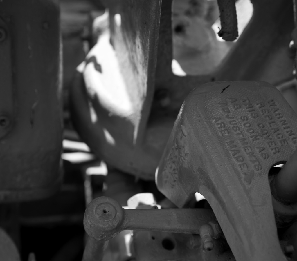 SampsonStatePark2009-38