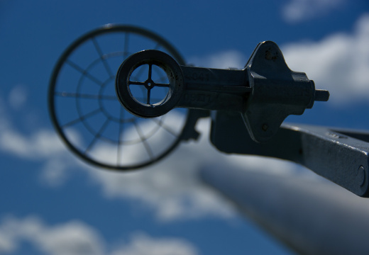 SampsonStatePark2009-42