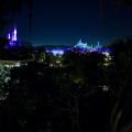 WDW2011-416