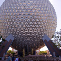 WDW201001-174