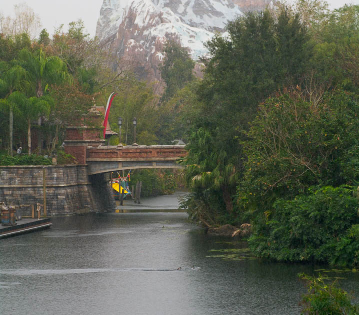 WDW201001-550