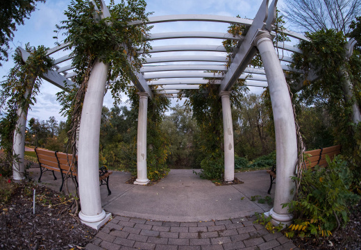 Photography-161024-02