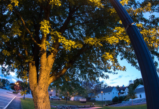 Photography-161024-03