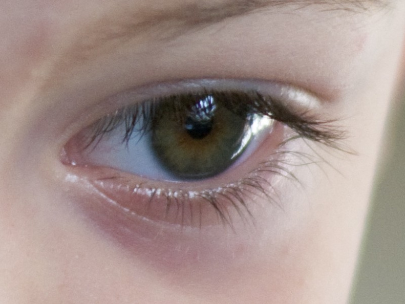 Nikkor 105 test, 100% crop