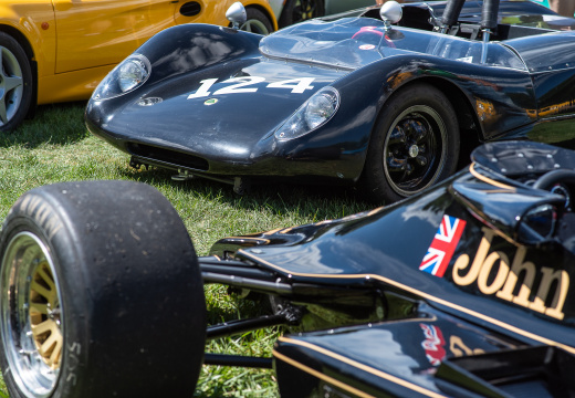 Lotus 79