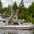 Knudson Cove Marina
