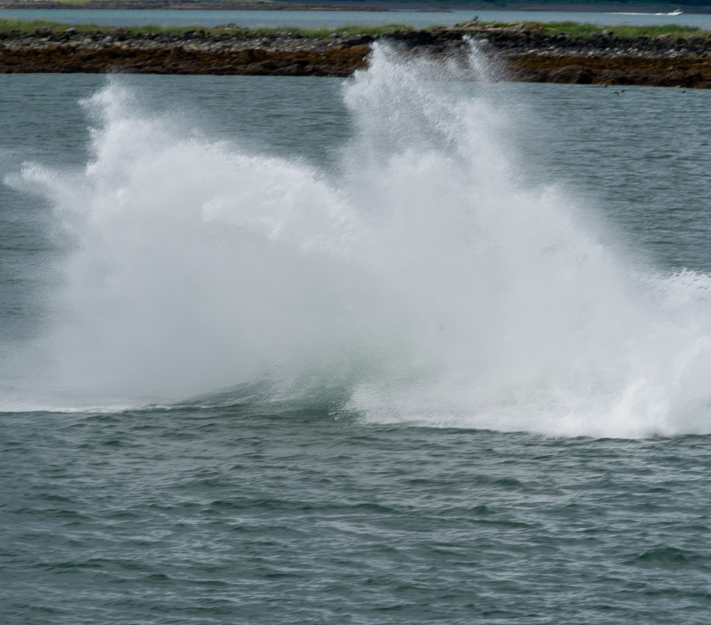 Splash after humpback breeched