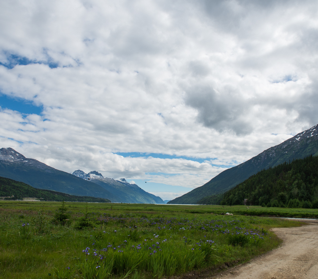 SGY-405 Grizzly Falls Ziplining Expedition