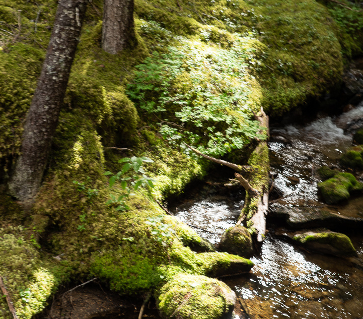 traveling to zipline location