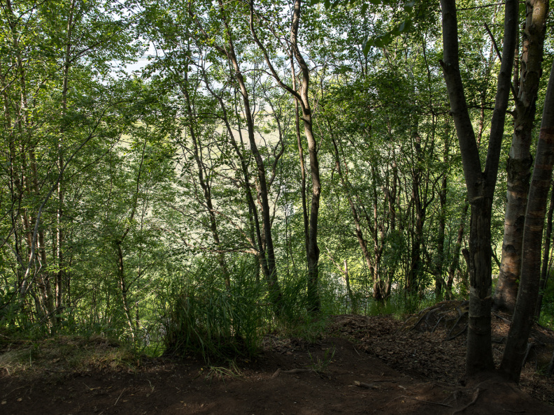 edge of the earthquake collapse