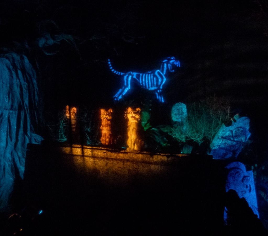 Graveyard cats and hellhound