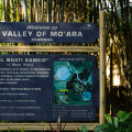 Welcome to Valley of Mo'ara