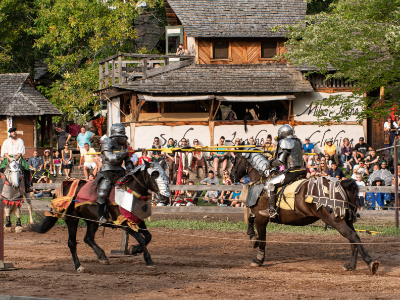 The Joust