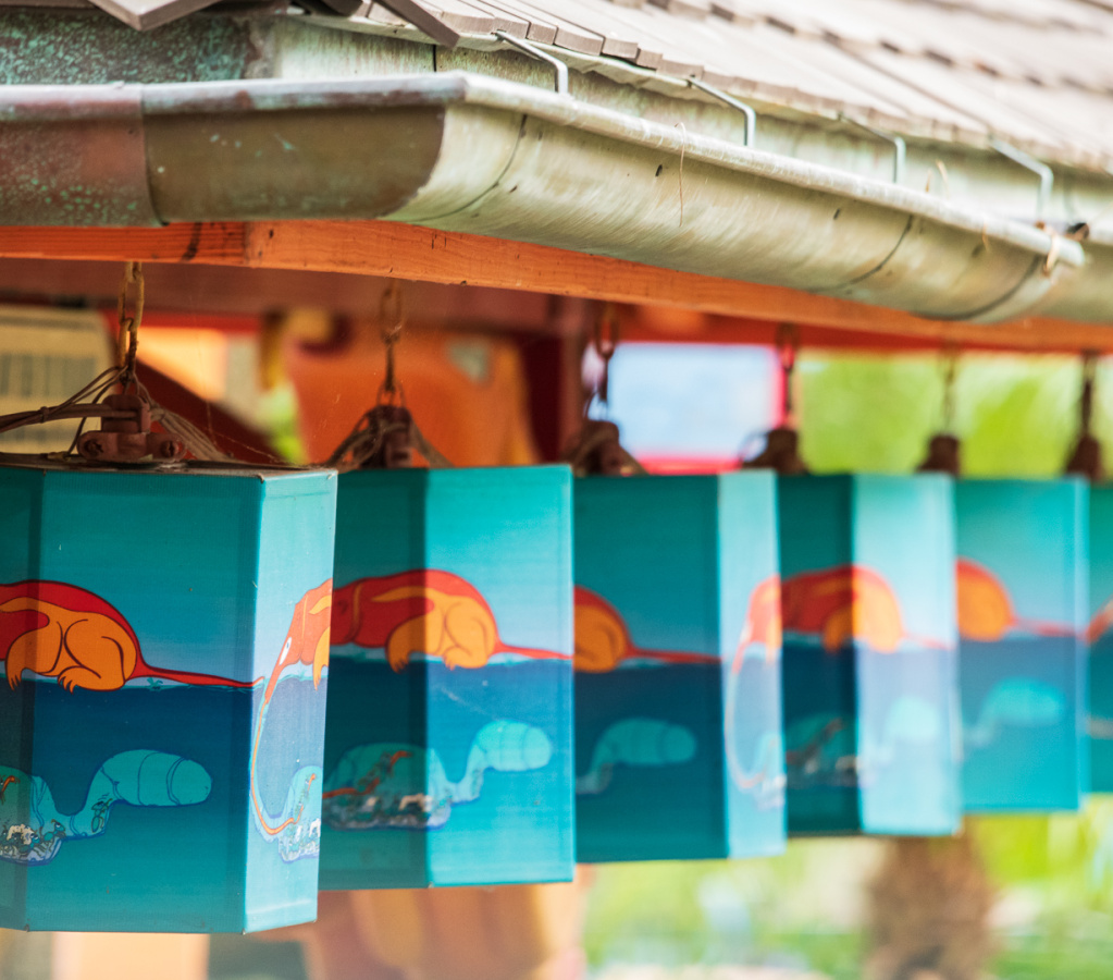 Flame Tree BBQ anteaters