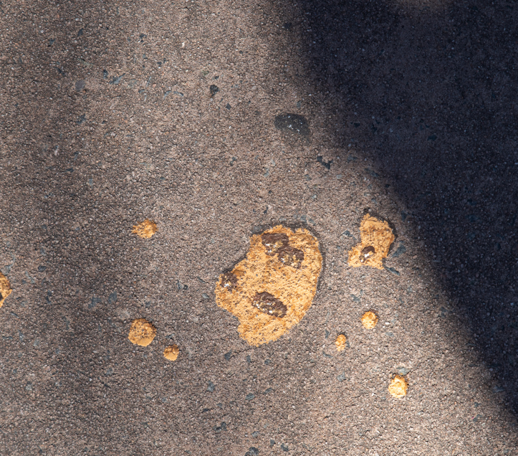 Jack-Jack's cookies on ground