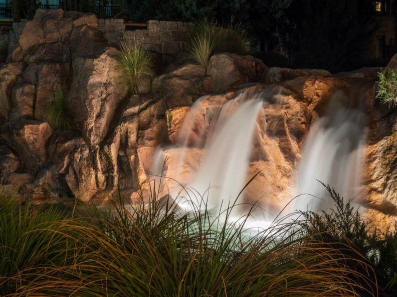 Behind Wilderness Lodge