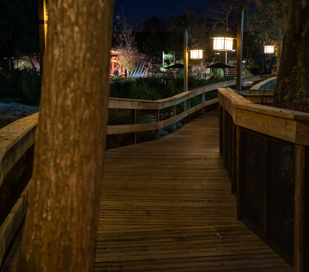 Behind Wilderness Lodge