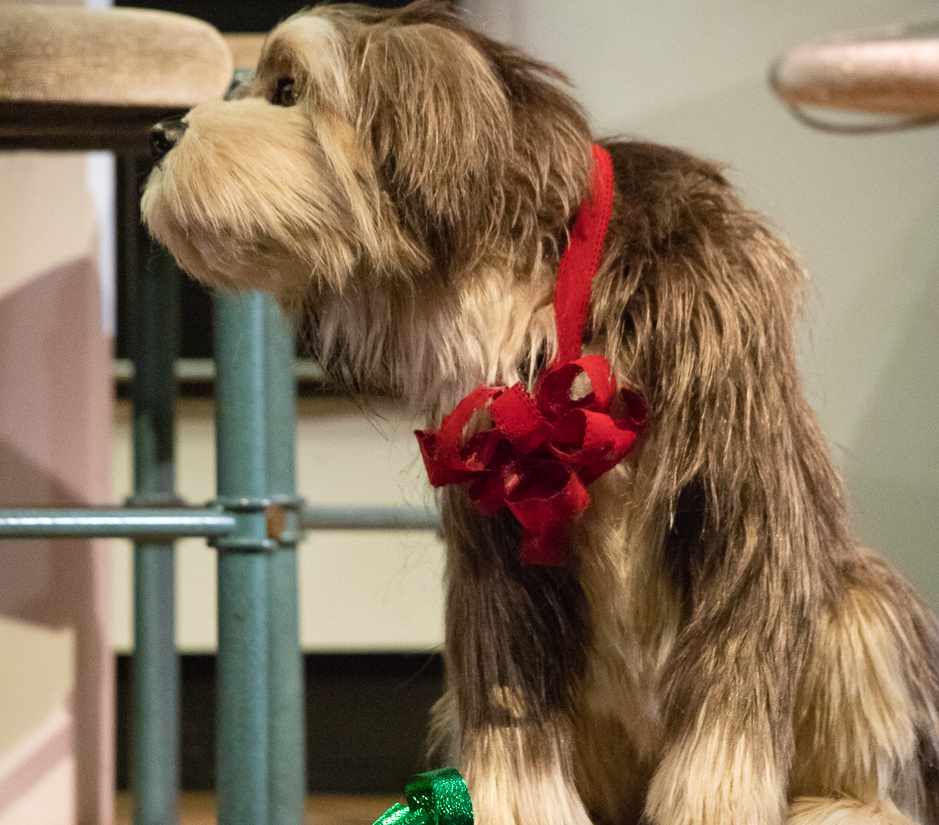 Carousel of Progress on-ride