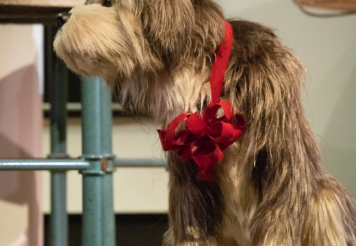 Carousel of Progress on-ride