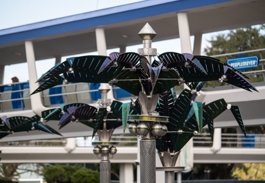 Tomorrowland palm trees