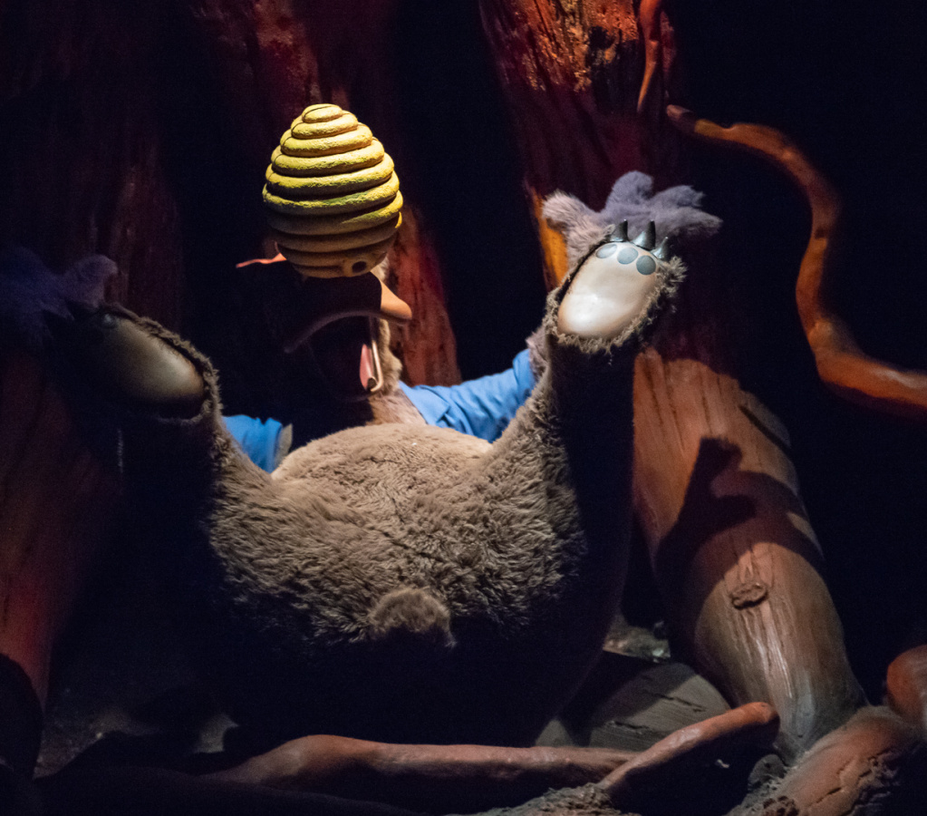 Splash Mountain on-ride