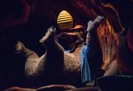 Splash Mountain on-ride