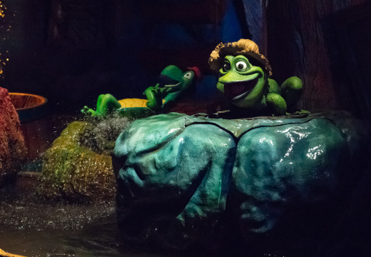 Splash Mountain on-ride
