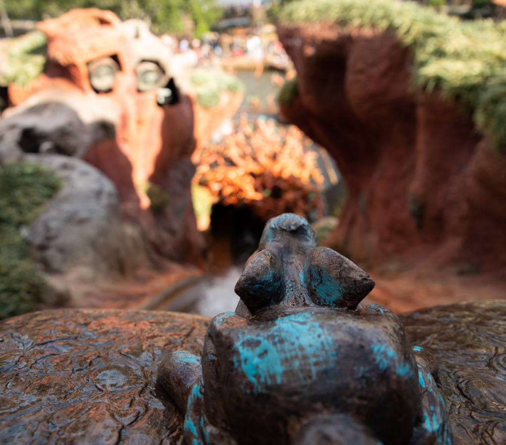 Splash Mountain on-ride