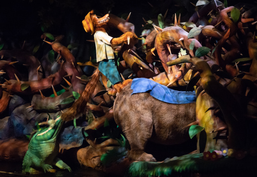 Splash Mountain on-ride