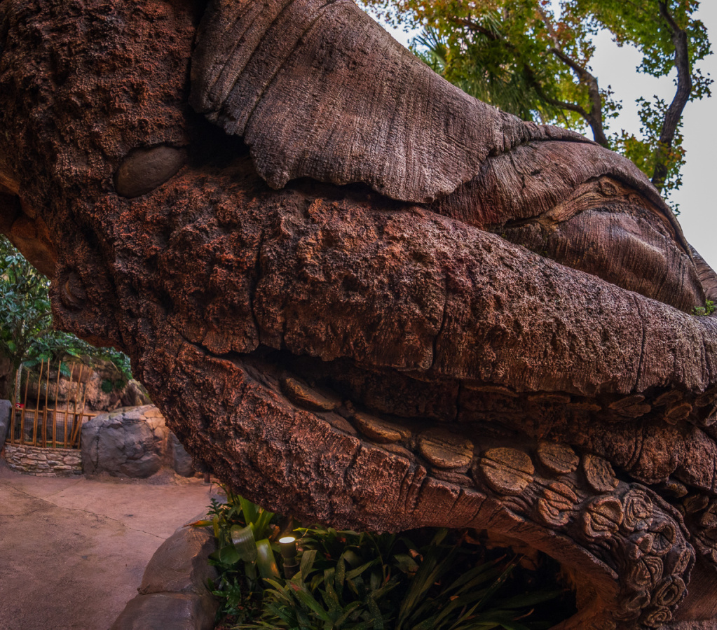 Discovery Island Trails