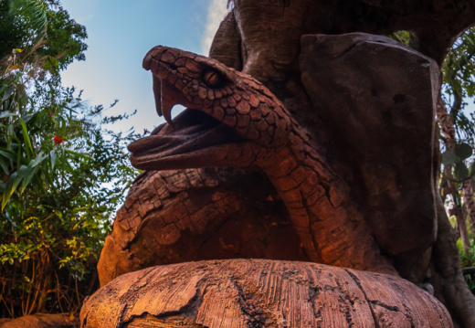 Discovery Island Trails