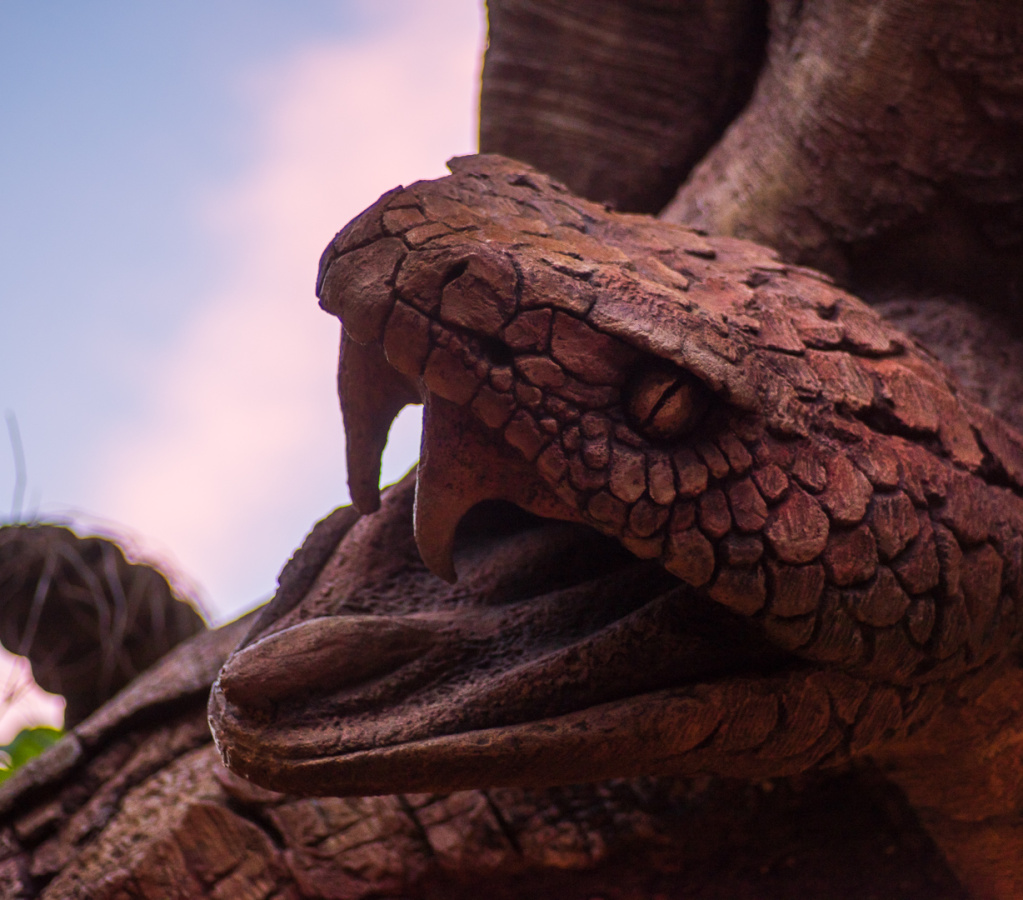 Discovery Island Trails