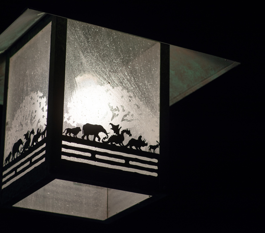 Animal Kingdom lantern