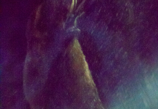 Spaceship Earth on-ride