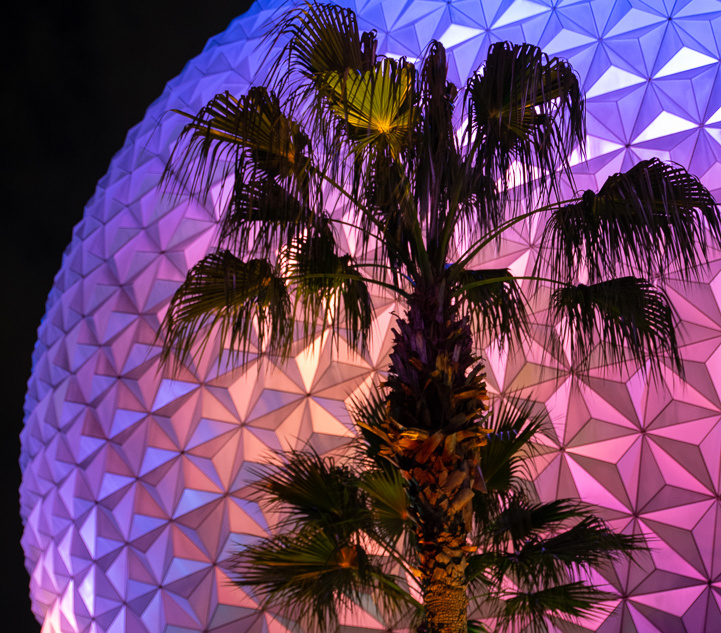 Spaceship Earth and tree