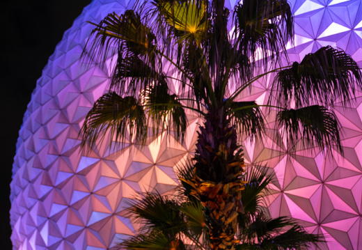 Spaceship Earth and tree