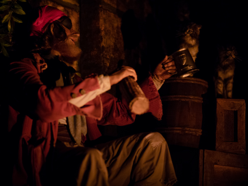 Pirates of the Caribbean on-ride