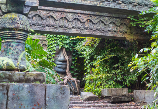 Jungle Cruise on-ride