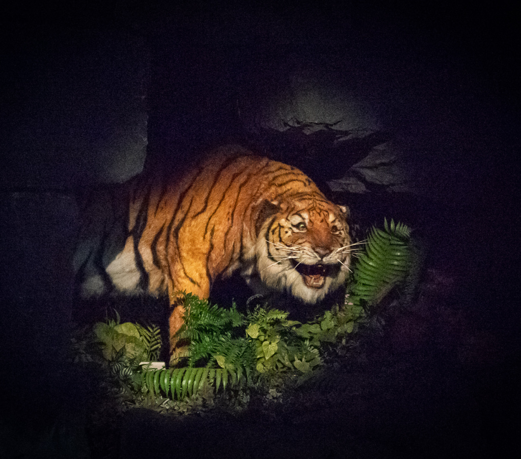 Jungle Cruise on-ride