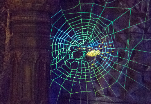 Jungle Cruise on-ride